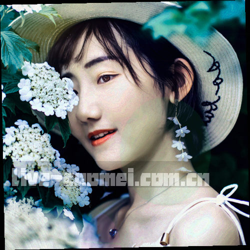 浅粉色几何迷宫线稿，象征索引结构被简化